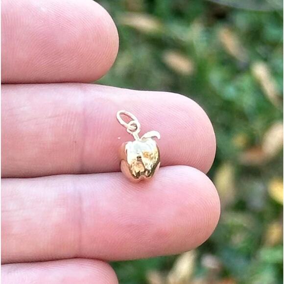 14K Gold Plated Necklace with Bronze Apple Charm - Picture 1 of 4